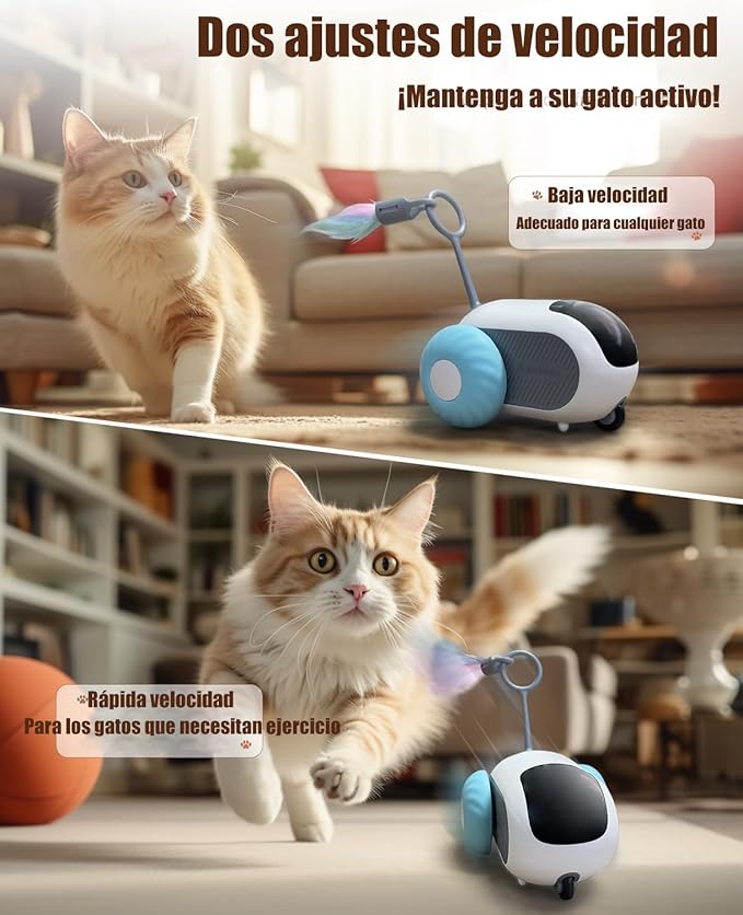 juguete gato control remoto